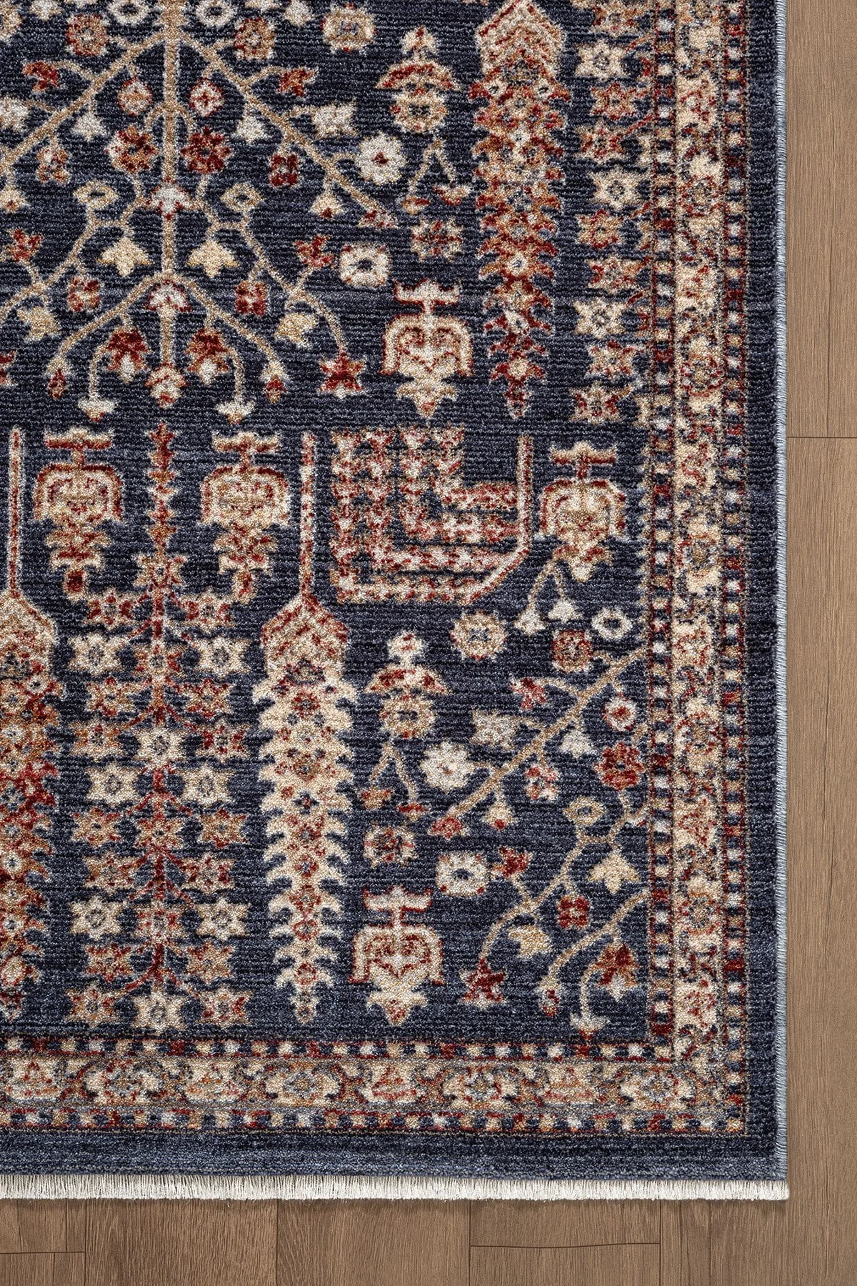 FOCUS FO005M — Görsel 5